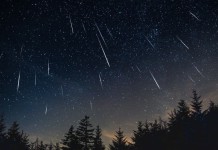 Chuva de meteoros Leônidas: saiba como ver o espetáculo hoje no céu