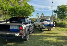 Polícia Civil desarticula esquema de comércio ilegal de animais raros em Nova Santa Rita na foto, comércio ilegal de animais em nova santa rita