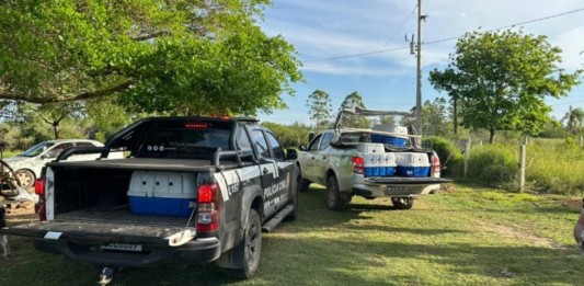 na foto, comércio ilegal de animais em nova santa rita