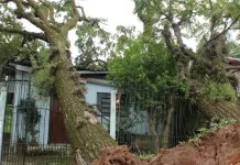 "Corredor de tornados": RS está entre os Estados com maior risco de tempestades no mundo; Entenda