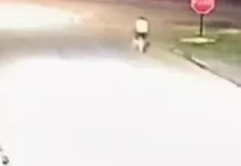 ocorrência da criança que foi atropelada em portão