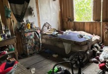 na foto, local em que criança estuprada pelo pai e tio vivia em Canoas