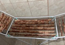 O dinheiro que estava secando no varal em Santa Catarina