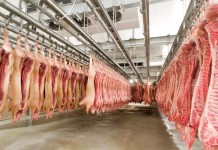 Famoso frigorífico do RS pede falência por causa de R$ 75 milhões em dívidas