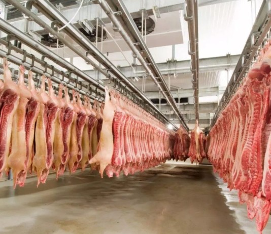 Famoso frigorífico do RS pede falência por causa de R$ 75 milhões em dívidas Famoso frigorífico do RS pede falência por causa de R$ 75 milhões em dívidas