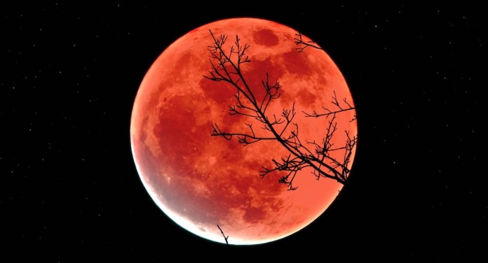 “Lua do Castor 2025”: superlua mais brilhante do ano aparece no céu com chuva de meteoros