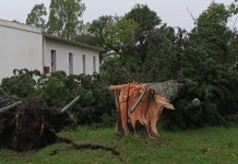Uruguai é atingido por tempestades severas e rajadas de vento próximas de 150 km/h Tempestade no Uruguai