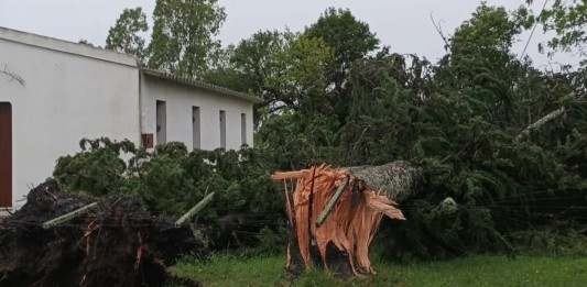 Uruguai é atingido por tempestades severas e rajadas de vento próximas de 150 km/h Tempestade no Uruguai