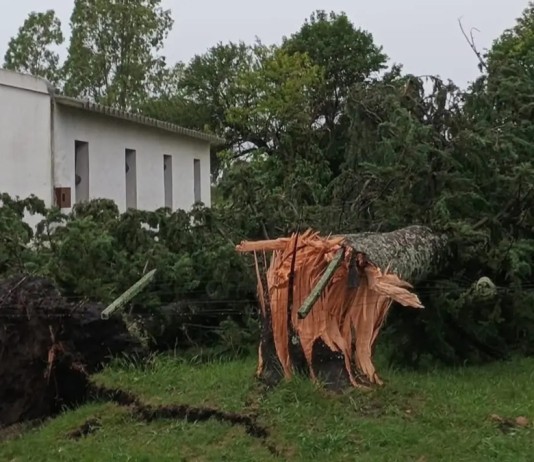 Uruguai é atingido por tempestades severas e rajadas de vento próximas de 150 km/h Tempestade no Uruguai