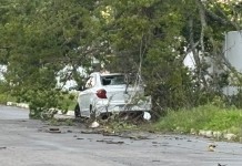 Árvore cai sobre carro durante temporal em Canoas Árvore cai sobre carro durante temporal em Canoas