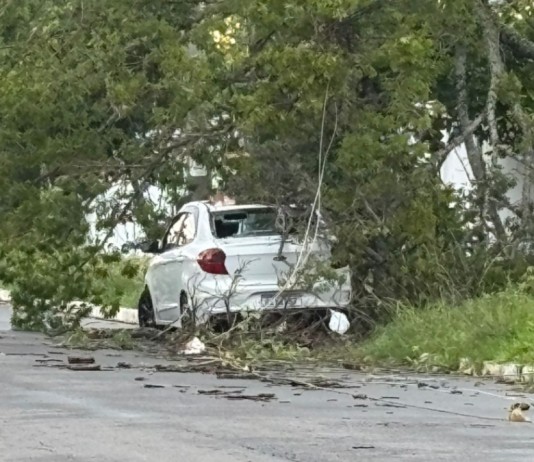 Árvore cai sobre carro durante temporal em Canoas Árvore cai sobre carro durante temporal em Canoas