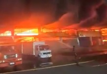 Ceasa é atingida por incêndio de grandes proporções e causa apreensão durante a madrugada Ceasa é atingida por incêndio de grandes proporções na zona norte do Rio de Janeiro