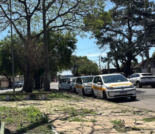 Como se tornar Instrutor Autônomo e entrar na nova profissão criada após liberação da CNH sem autoescola