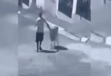 ocorrência do corpo da mulher que foi encontrado em carrinho de supermercado