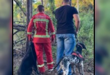 Idoso que estava desaparecido é encontrado morto idoso desaparecido encontrado morto