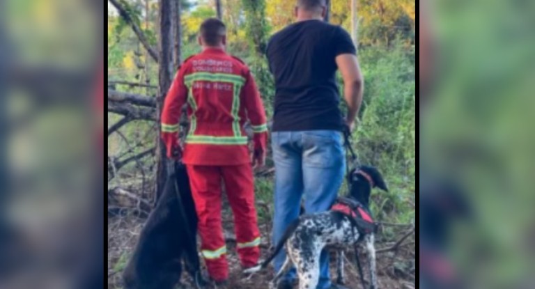 idoso desaparecido encontrado morto