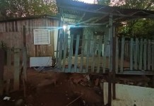 Jovem é morto a tiros dentro de casa na Região Metropolitana de Porto Alegre Jovem é morto a tiros dentro de casa em Viamão