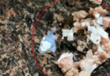 Mulher encontra pedaços de plástico dentro de carne comprada no Carrefour Os pedaços de plásticos