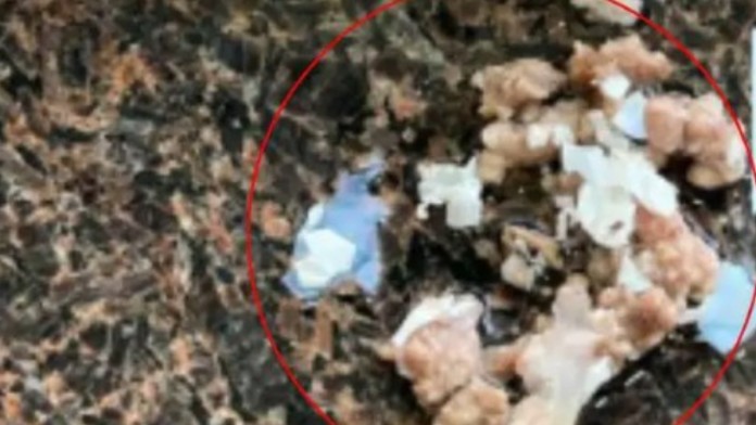 Os pedaços de plásticos