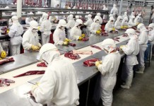 Famosa empresa de alimentos abre 400 vagas de emprego, confira locais Famosa empresa de alimentos abre 400 vagas de emprego, confira locais