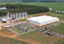 Grupo do agronegócio entra em recuperação judicial com dívida bilionária após crise de crédito e impacto no setor de sementes.