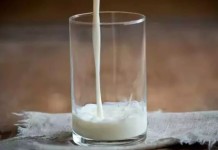 Anvisa proíbe venda de leite após identificar fraude e emite alerta aos consumidores