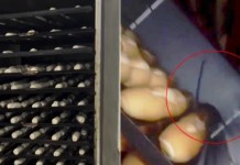 Dono de supermercado é preso após fiscalização flagrar ratos andando sobre pães