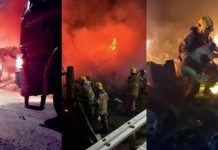 Cadela resgatada em incêndio emociona moradores após fogo atingir depósito Cadela resgatada em incêndio emociona após fogo atingir depósito na BR-459, em Pouso Alegre - Minas Gerais.