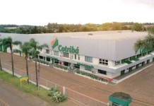 Cooperativa gaúcha mais antiga do Brasil desiste de recuperação judicial mesmo em crise bilionária Cotribá desiste da recuperação judicial em meio a crise financeira bilionária e aposta em venda de ativos e outros para reerguer a empresa.