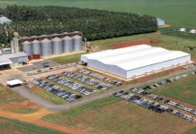 Grupo agrícola entra em recuperação judicial após ficar afundado em dívidas bilionárias