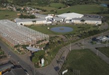 Após sair da recuperação judicial, tradicional calçadista gaúcha doa 3 mil tênis para alunos da rede pública Após sair da recuperação judicial, tradicional calçadista gaúcha doa 3 mil tênis para alunos da rede pública