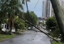 Temporal com chuva e vento fortes provoca queda de árvores e bloqueia ruas em cidade no RS