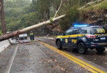 br-116 caxias do sul