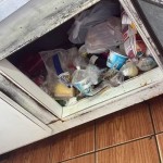 Duas toneladas de queijo mofado, produtos vencidos e alimentos sem procedência são apreendidos em açougue e mercado no RS