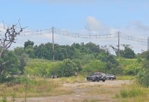 homem encontrado morto canoas