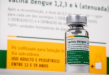 Vacina brasileira contra dengue pode proteger por até 5 anos, revela estudo
