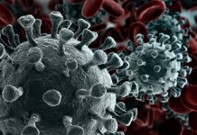 Nova Pandemia? Cientistas confirmam que nova variante do coronavírus tem escape imunológico