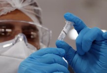 Nova variante da Covid chama atenção e levanta dúvida: será que a “Cicada” pode chegar causar uma nova pandemia? Veja alertas de especialistas Nova variante da Covid chama atenção e levanta dúvida: será que a “Cicada” pode chegar causar uma nova pandemia? Veja alertas de especialistas