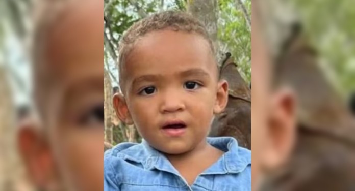 Criança morre em acidente com ônibus escolar e caso comove moradores; veja o que aconteceu