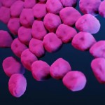 Entenda o que é a superbactéria que matou bebê e deixou outros 3 infectados em hospital de Porto Alegre