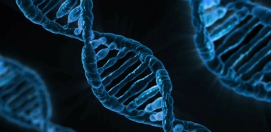 Estudo revela que evolução humana aumenta número de ruivos e reduz calvície