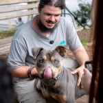 Projeto Zero Correntes em Canoas muda rotina de cães e chama atenção da população