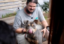 Projeto Zero Correntes em Canoas muda rotina de cães e chama atenção da população Projeto Zero Correntes em Canoas muda rotina de cães e chama atenção da população