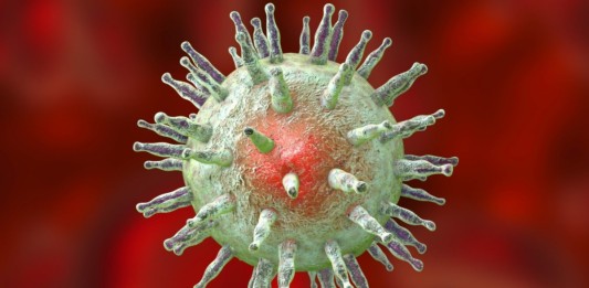 Vírus Epstein-Barr (EBV) está presente em 95% das pessoas, dizem cientistas, saiba como bloquear infecção