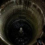 Filhotes dourados são encontrados em poço abandonado e resgate emocionante chama atenção nas redes