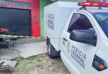 agropecuária canoas