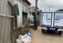 avó morta neto porto alegre