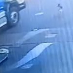cachorro atropelado caminhão canoas