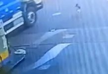 “Nós agimos imediatamente”, afirma prefeito após cachorro ser atropelado e morto por motorista de caminhão de lixo em Canoas cachorro atropelado caminhão canoas