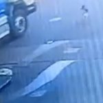 motorista caminhão matou atropelou cachorro canoas